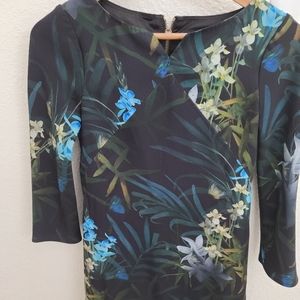 A picture of Ted Baker dress.